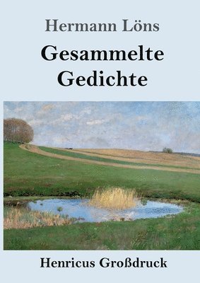 bokomslag Gesammelte Gedichte (Grodruck)