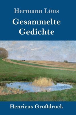 bokomslag Gesammelte Gedichte (Grodruck)