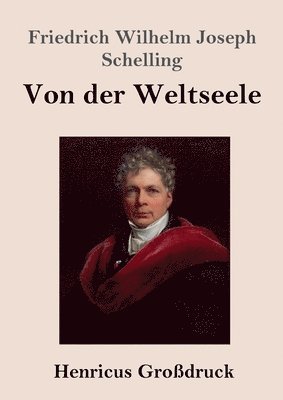bokomslag Von der Weltseele (Großdruck)