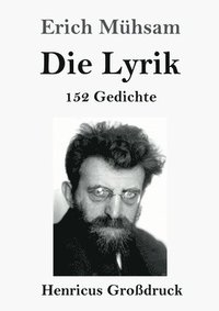bokomslag Lyrik (Großdruck)