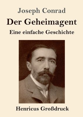 Geheimagent (Großdruck)