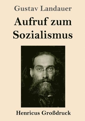 bokomslag Aufruf zum Sozialismus (Großdruck)