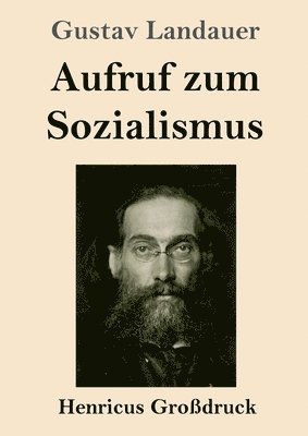 bokomslag Aufruf zum Sozialismus (Grodruck)