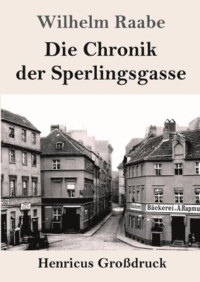 bokomslag Chronik der Sperlingsgasse (Großdruck)