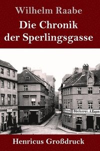 bokomslag Die Chronik der Sperlingsgasse (Grodruck)