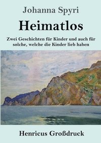 bokomslag Heimatlos (Grodruck)