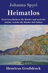 bokomslag Heimatlos (Grodruck)