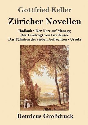 bokomslag Züricher Novellen (Großdruck)