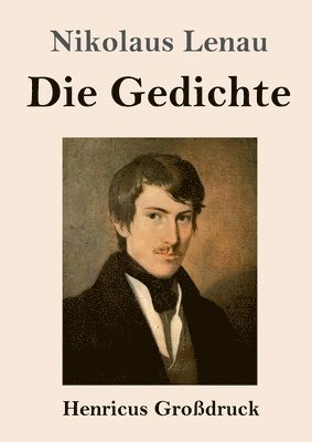 bokomslag Gedichte (Großdruck)
