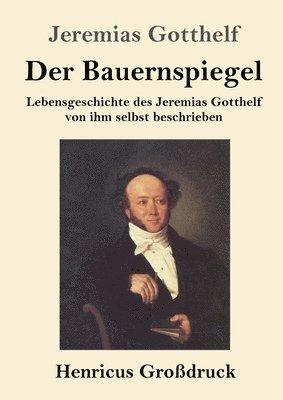 bokomslag Der Bauernspiegel (Grodruck)