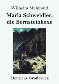 bokomslag Maria Schweidler, die Bernsteinhexe (Großdruck)