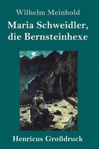 bokomslag Maria Schweidler, die Bernsteinhexe (Grodruck)
