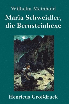 bokomslag Maria Schweidler, die Bernsteinhexe (Grodruck)