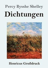 bokomslag Dichtungen (Großdruck)
