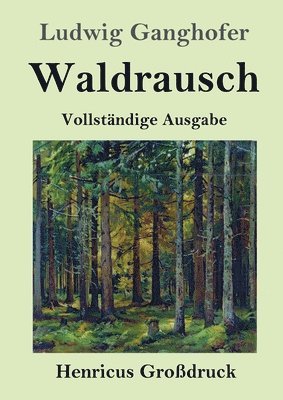 bokomslag Waldrausch (Großdruck)