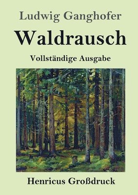 bokomslag Waldrausch (Grodruck)