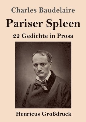 bokomslag Pariser Spleen (Großdruck)