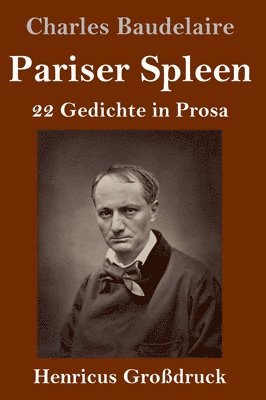 bokomslag Pariser Spleen (Großdruck)