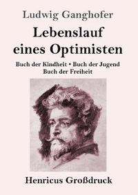 bokomslag Lebenslauf eines Optimisten (Großdruck)