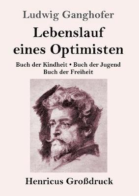 bokomslag Lebenslauf eines Optimisten (Großdruck)