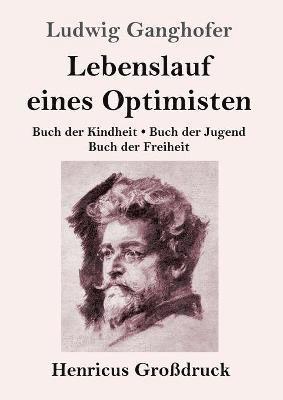 bokomslag Lebenslauf eines Optimisten (Grodruck)