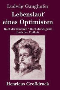bokomslag Lebenslauf eines Optimisten (Großdruck)