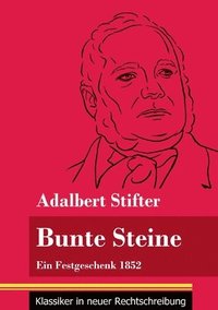 bokomslag Bunte Steine