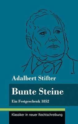 bokomslag Bunte Steine