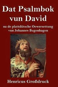 bokomslag Dat Psalmbok vun David (Grodruck)