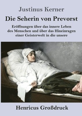 Justinus Kerner - Seherin von Prevorst (Großdruck), Häftad