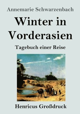 Annemarie Schwarzenbach - Winter in Vorderasien (Großdruck), Häftad