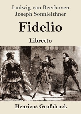 bokomslag Fidelio (Großdruck)