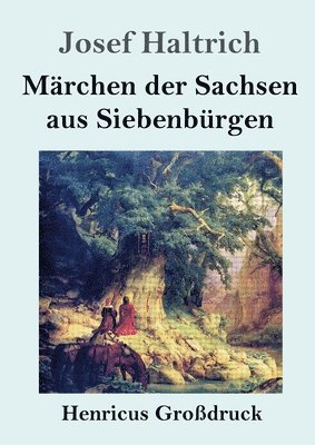 bokomslag Marchen der Sachsen aus Siebenburgen (Grossdruck)