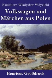 bokomslag Volkssagen und Mrchen aus Polen (Grodruck)