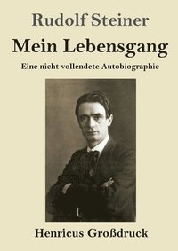 bokomslag Mein Lebensgang (Großdruck)