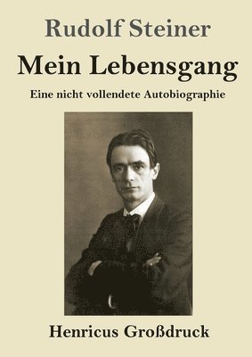 bokomslag Mein Lebensgang (Großdruck)