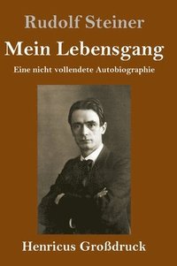 bokomslag Mein Lebensgang (Großdruck)