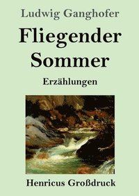 bokomslag Fliegender Sommer (Großdruck)