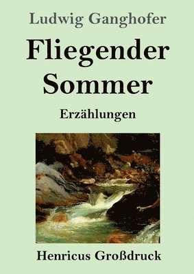 bokomslag Fliegender Sommer (Großdruck)