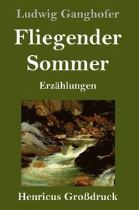 bokomslag Fliegender Sommer (Grodruck)