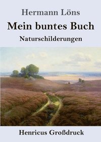 bokomslag Mein buntes Buch (Großdruck)