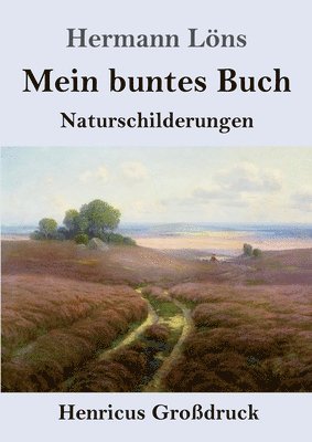 bokomslag Mein buntes Buch (Grodruck)