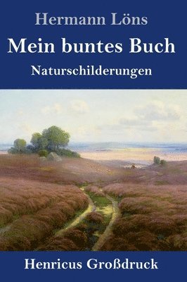 bokomslag Mein buntes Buch (Grodruck)