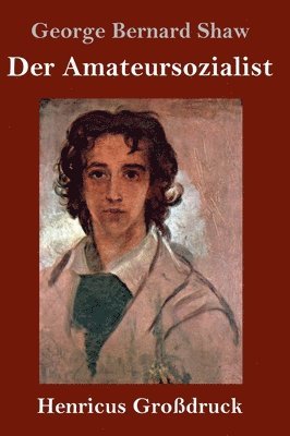 bokomslag Amateursozialist (Großdruck)