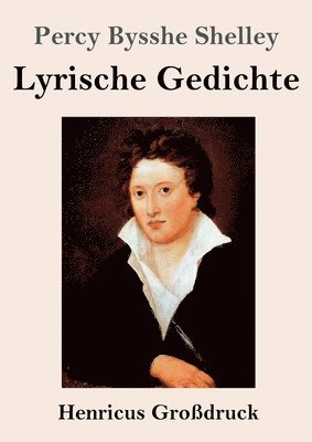 bokomslag Lyrische Gedichte (Großdruck)