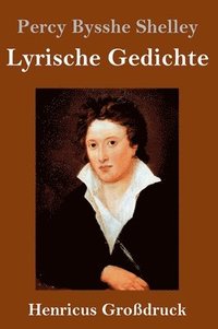 bokomslag Lyrische Gedichte (Großdruck)