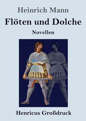 bokomslag Flten und Dolche (Grodruck)