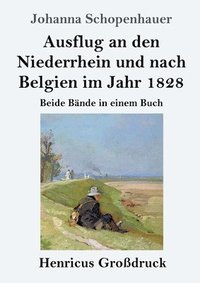 bokomslag Ausflug an den Niederrhein und nach Belgien im Jahr 1828 (Großdruck)