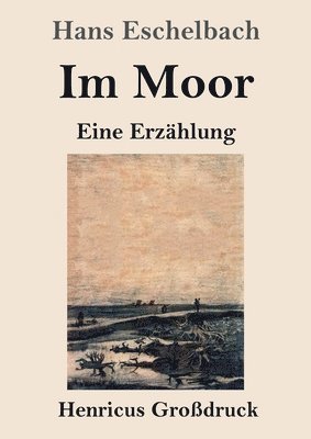 Hans Eschelbach - Im Moor (Großdruck), Häftad