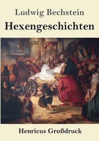 bokomslag Hexengeschichten (Großdruck)